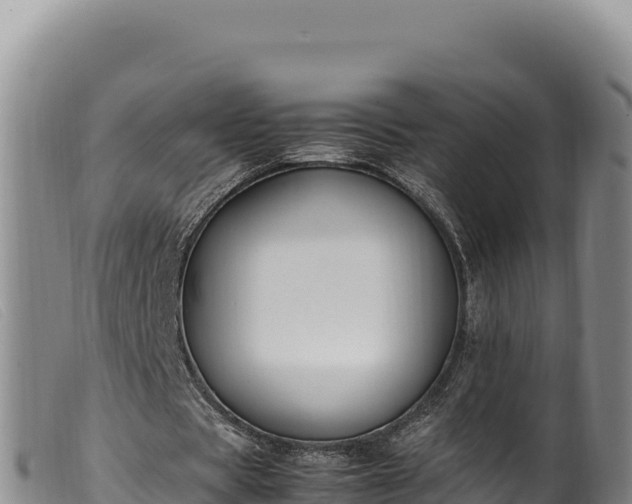 X0000099550529200805231153