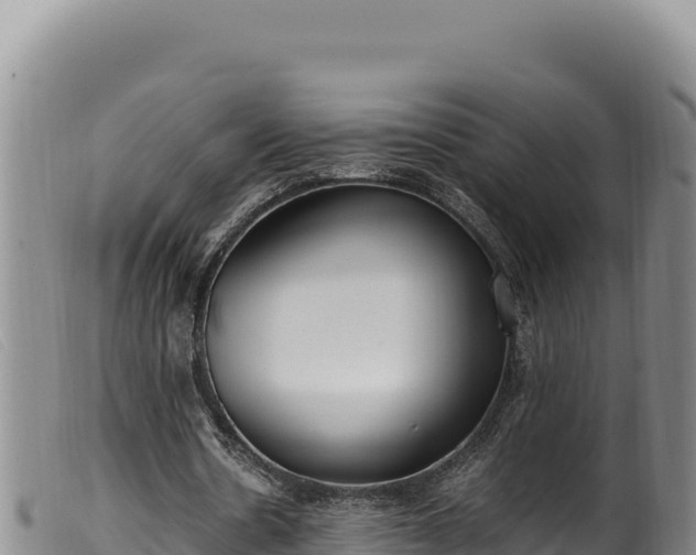 X0000099550530200805231153