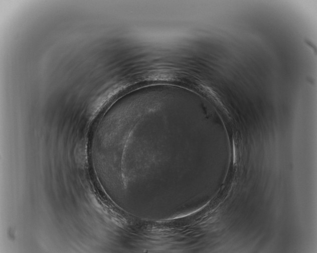 X0000099550531200805231153