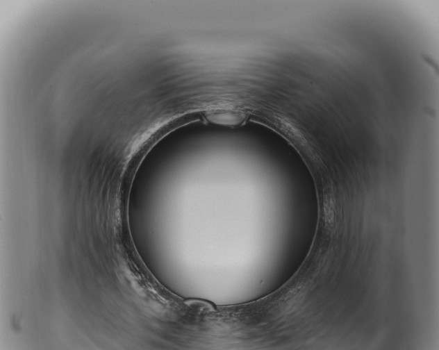 X0000099550532200805231153