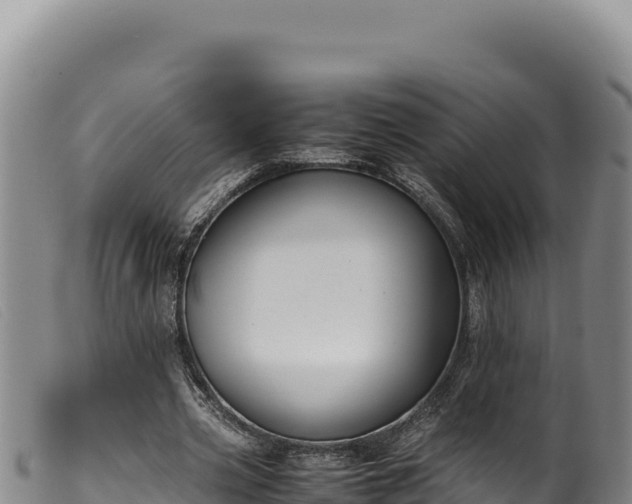 X0000099550533200805231153