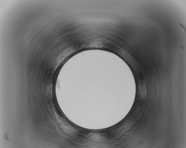 X0000099550534200805231153