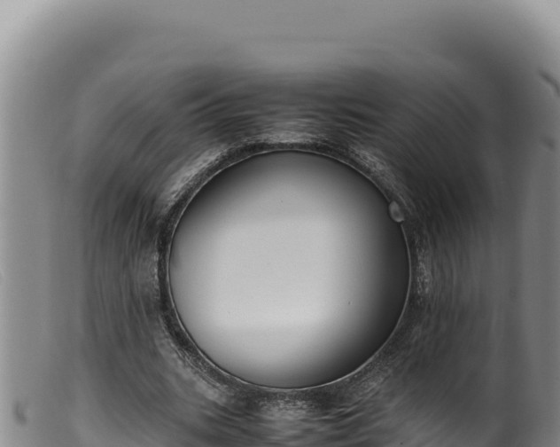 X0000099550535200805231153