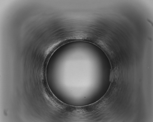 X0000099550536200805231153