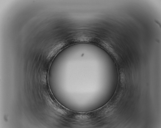 X0000099550537200805231153