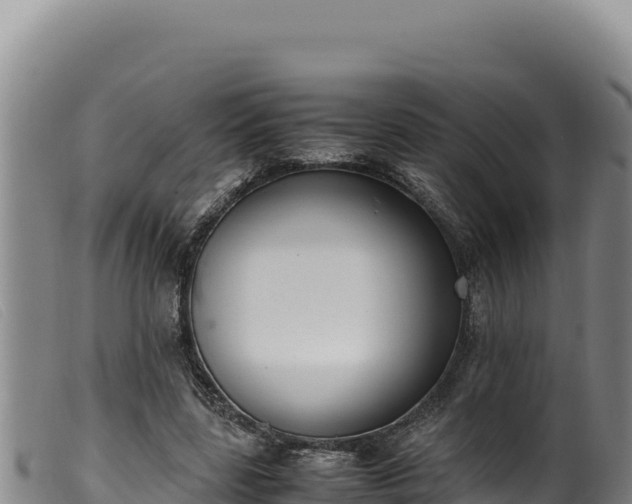 X0000099550539200805231153