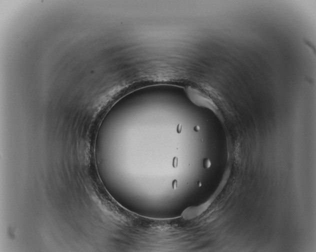 X0000099550540200805231153