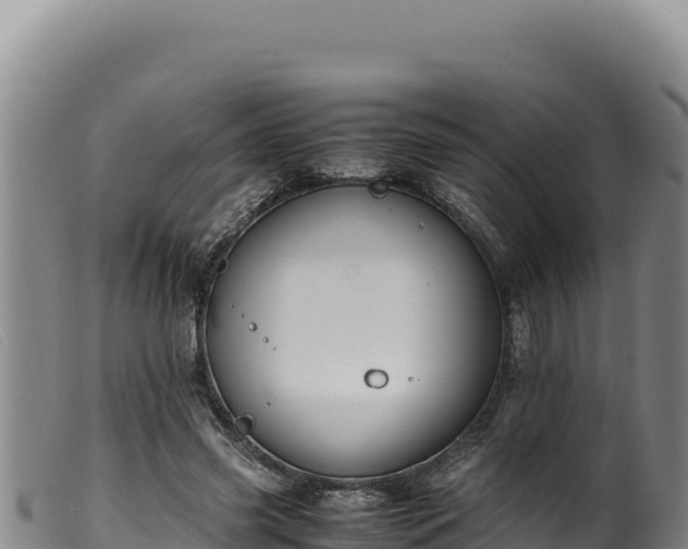 X0000099550541200805231153