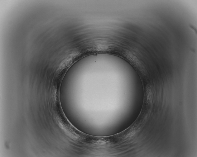 X0000099550542200805231153