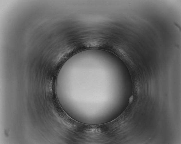 X0000099550543200805231153