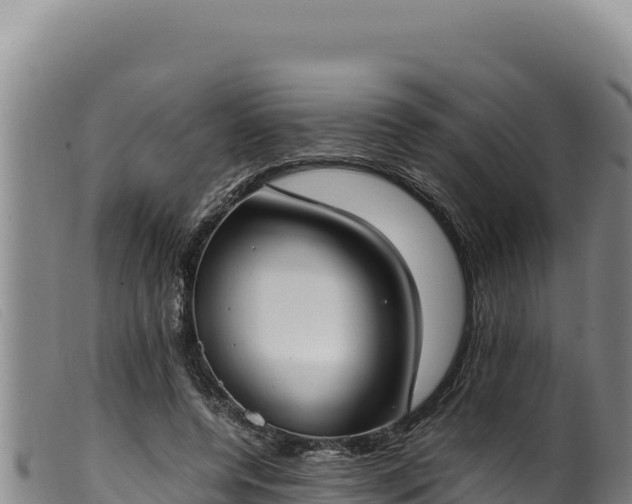 X0000099550544200805231153