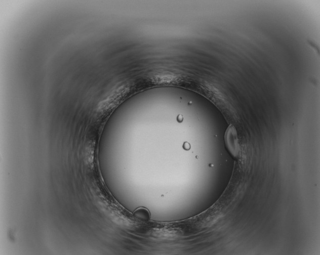 X0000099550545200805231153