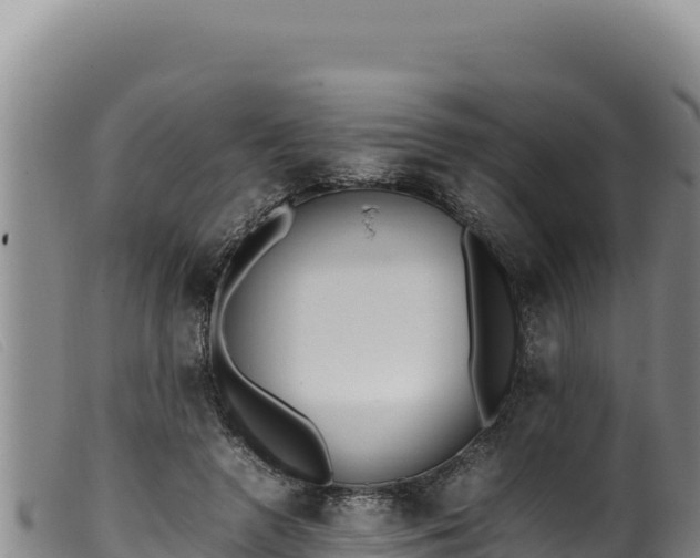 X0000099550546200805231153