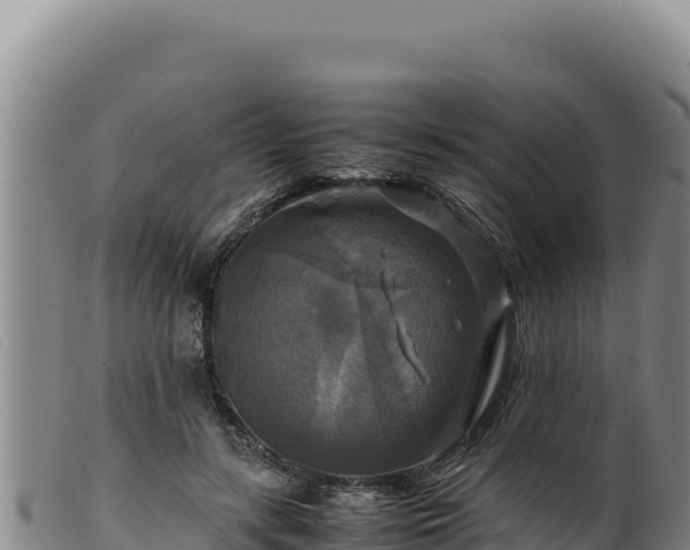 X0000099550547200805231154