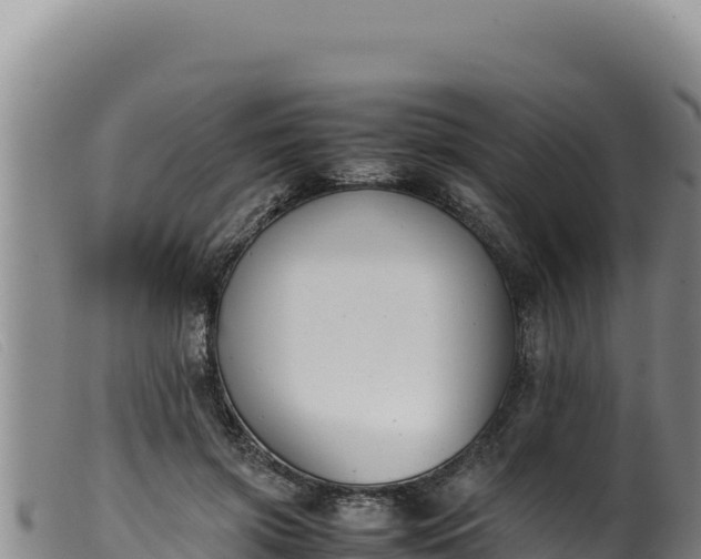 X0000099550549200805231154