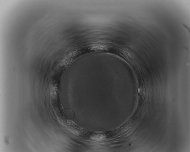 X0000099550551200805231154