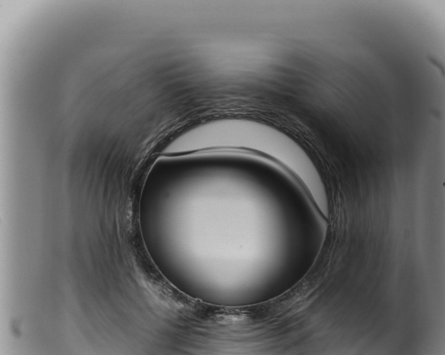 X0000099550552200805231154