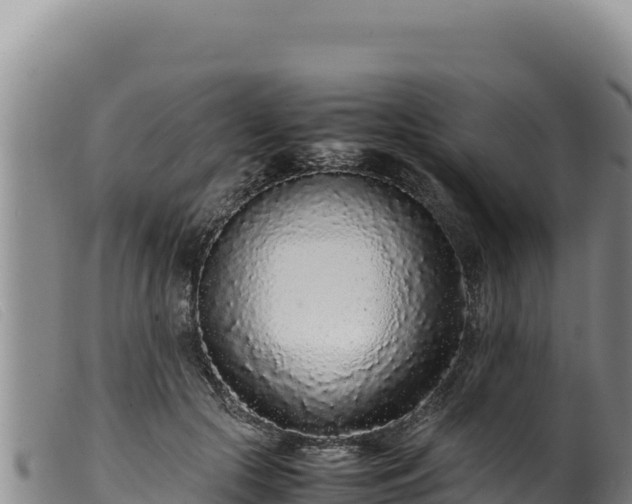 X0000099550553200805231154