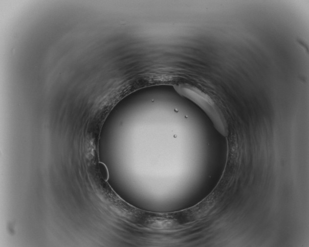 X0000099550555200805231154