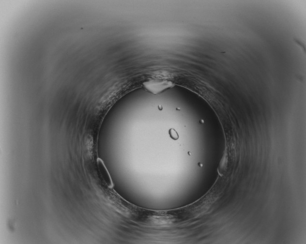 X0000099550556200805231154