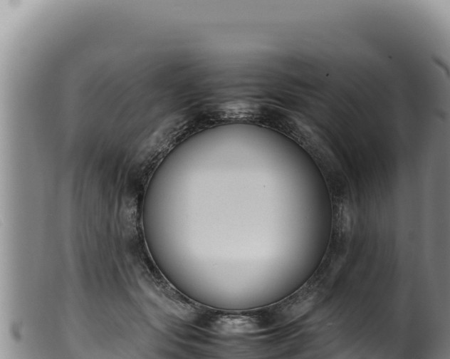 X0000099550557200805231154