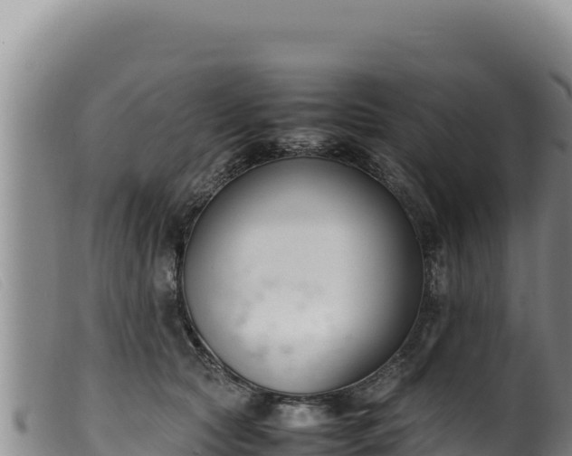 X0000099550561200805231154