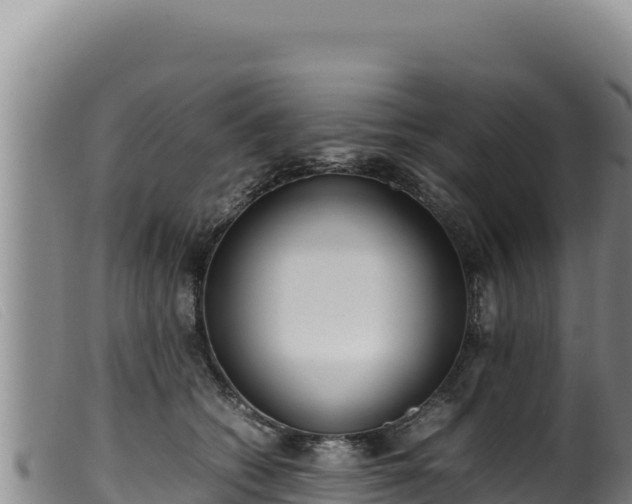 X0000099550562200805231154