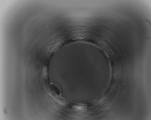 X0000099550563200805231154