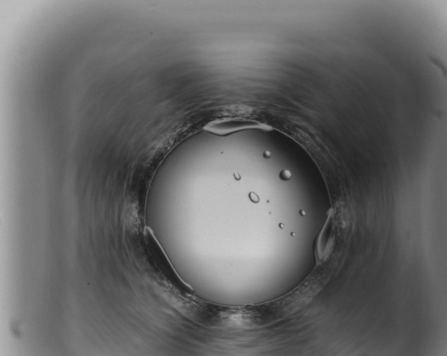 X0000099550564200805231154