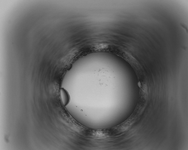 X0000099550565200805231154