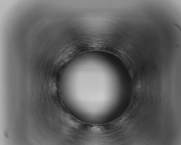 X0000099550566200805231154