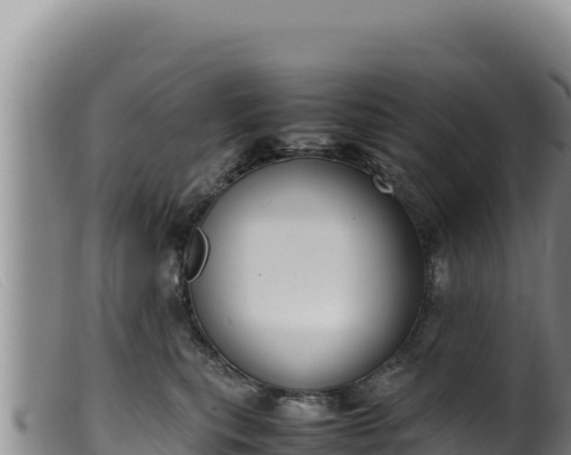 X0000099550567200805231154