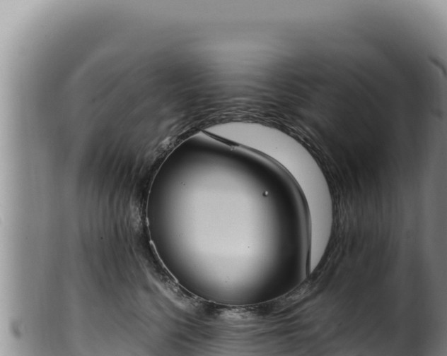 X0000099550568200805231154