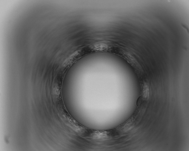 X0000099550569200805231154