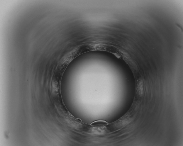 X0000099550571200805231154