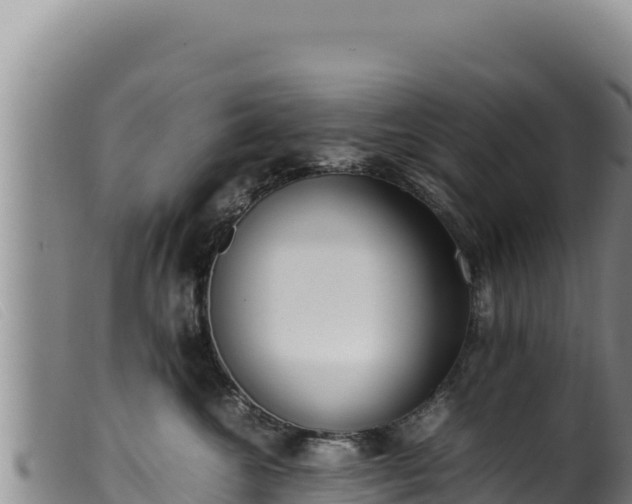 X0000099550572200805231154