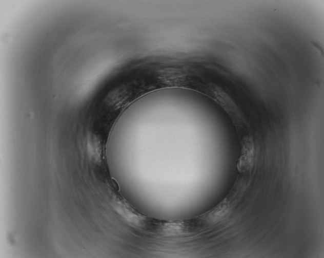 X0000099550574200805231154