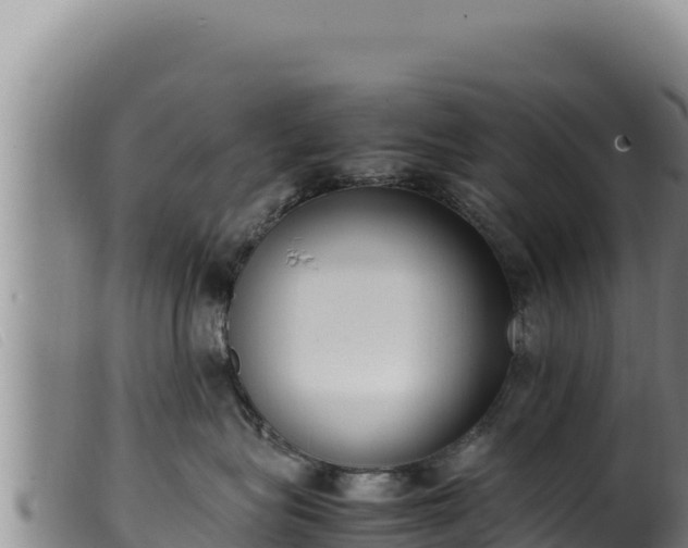 X0000099550575200805231154