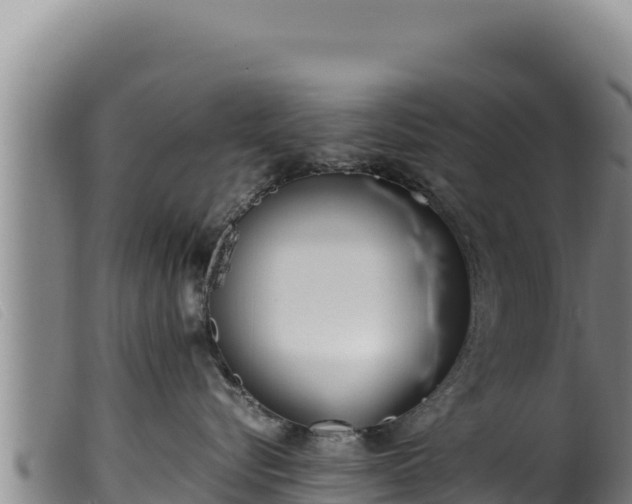 X0000099550576200805231154