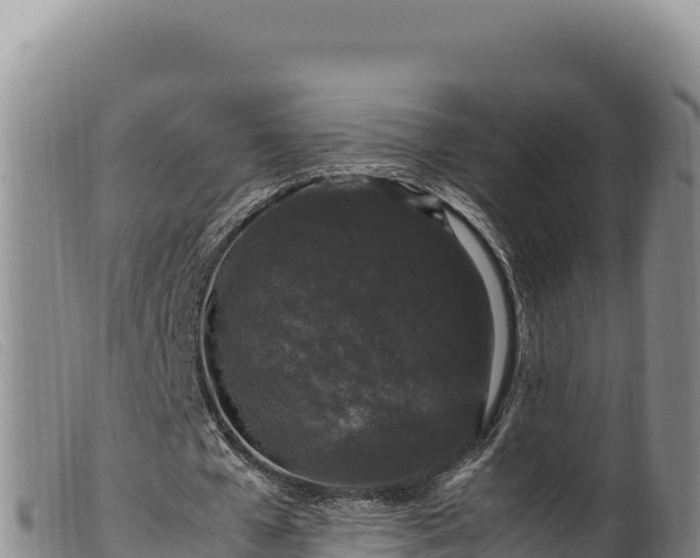 X0000099550577200805231153