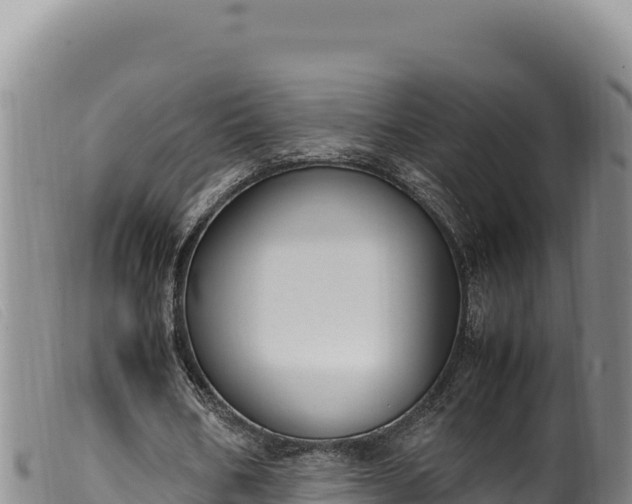 X0000099550578200805231153