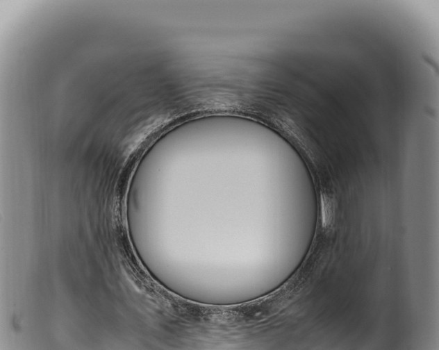 X0000099550579200805231153