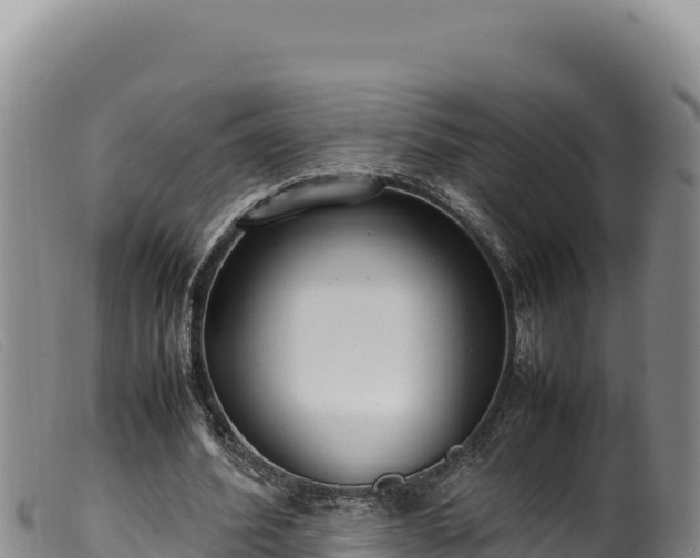 X0000099550580200805231153