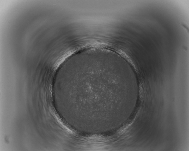 X0000099550581200805231153