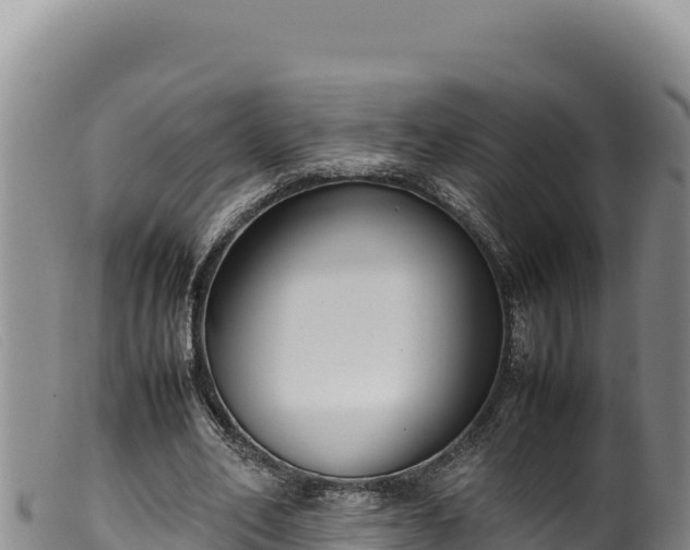 X0000099550582200805231153