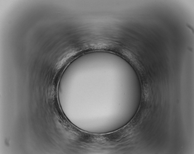 X0000099550583200805231153