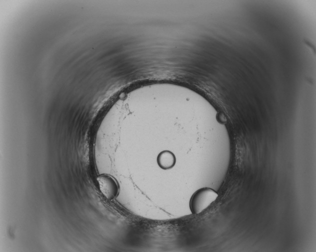 X0000099550584200805231153