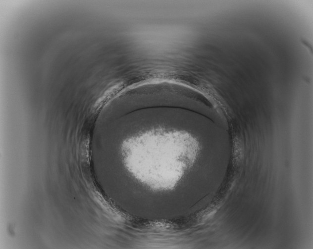 X0000099550585200805231153