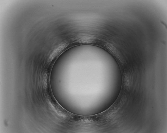 X0000099550586200805231153