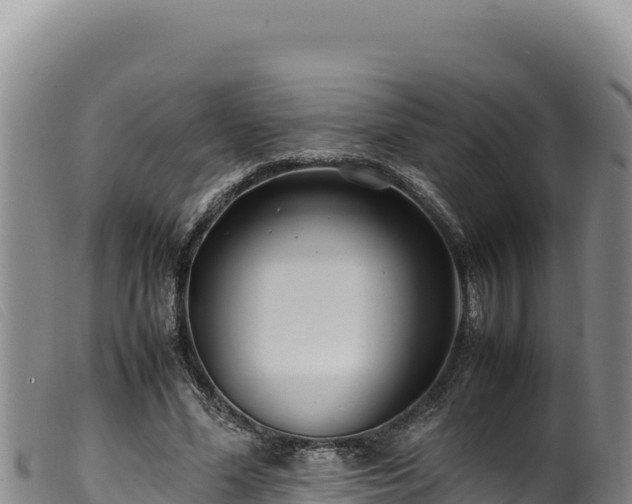 X0000099550588200805231153